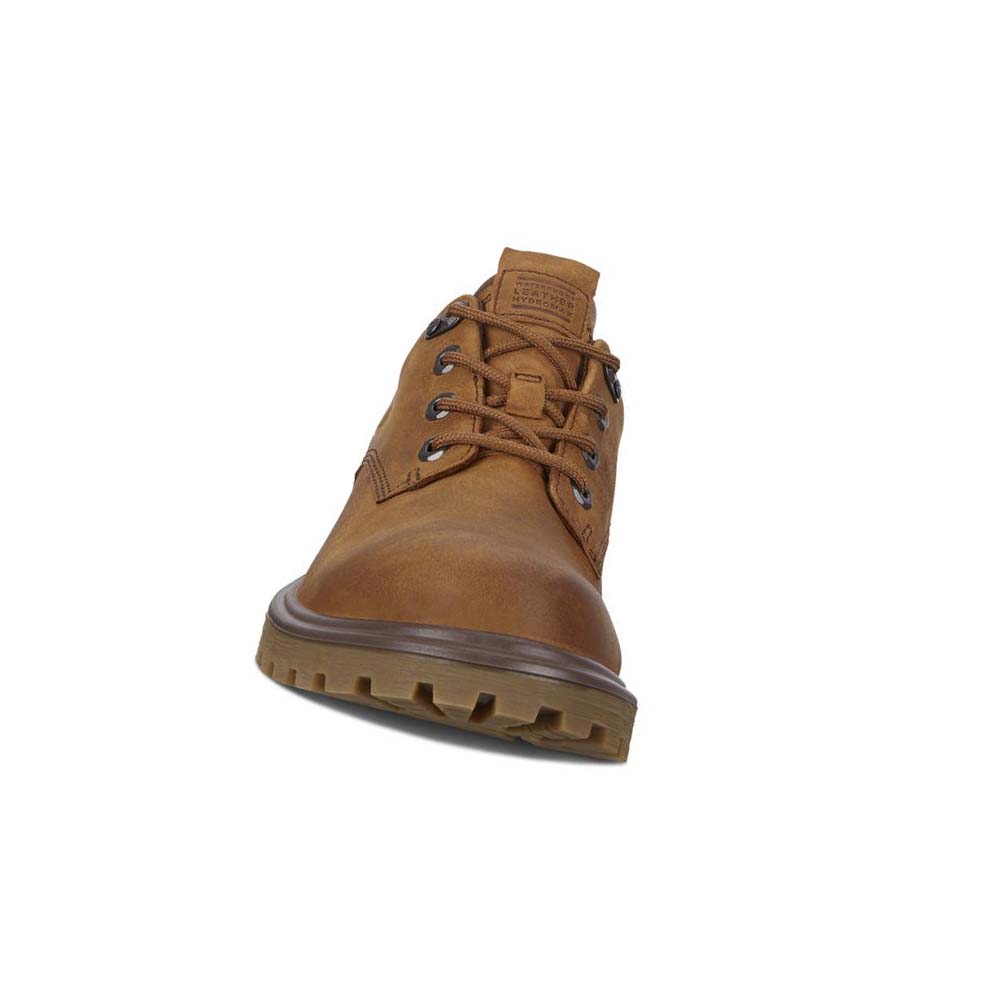 Ecco Tredtray Hiking & Trail Herr Bruna | SE 575PJJ